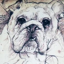 British Bulldog 17x17 Dog Pillow