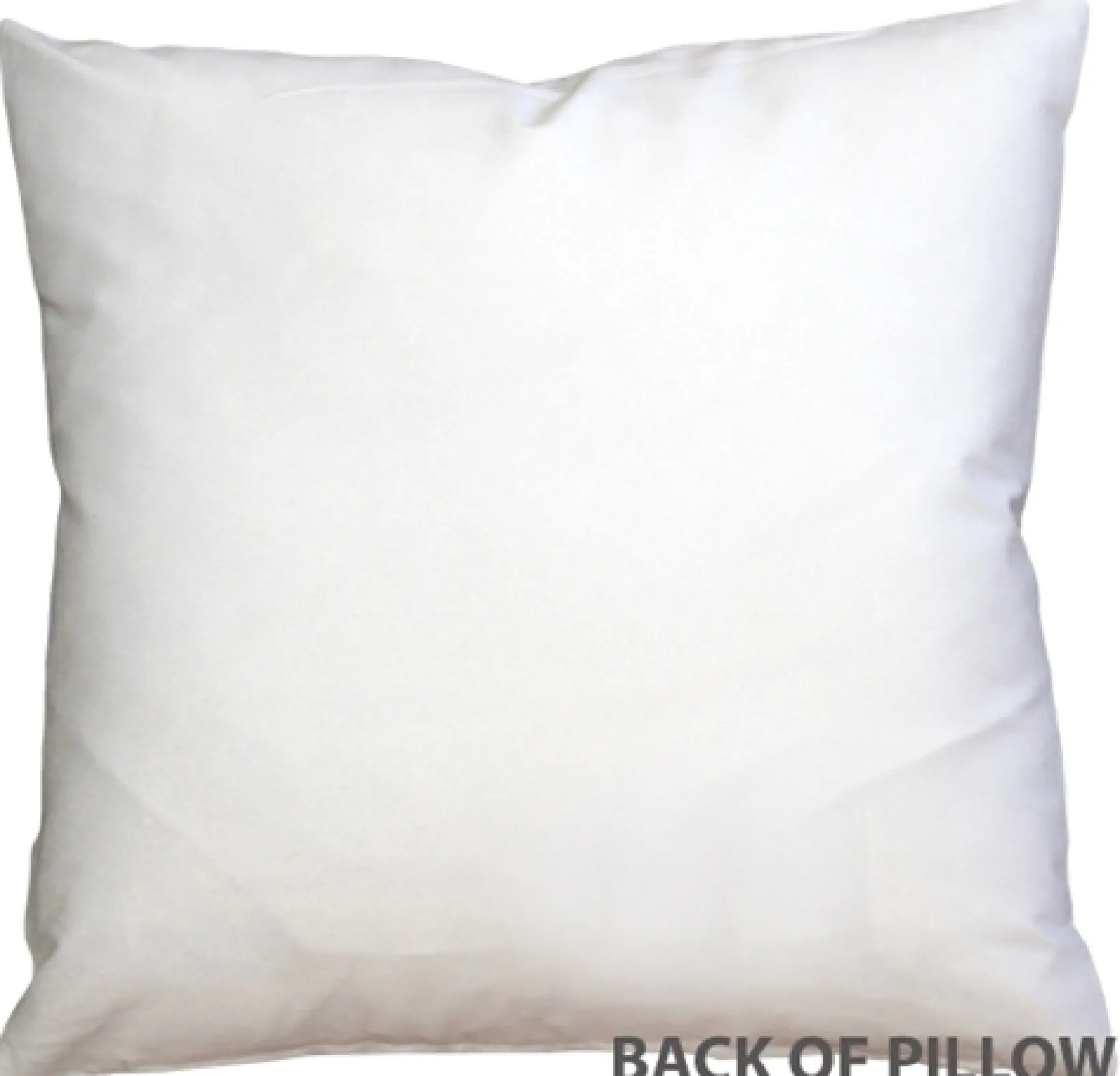 Cat Reflections 16x16 Throw Pillow