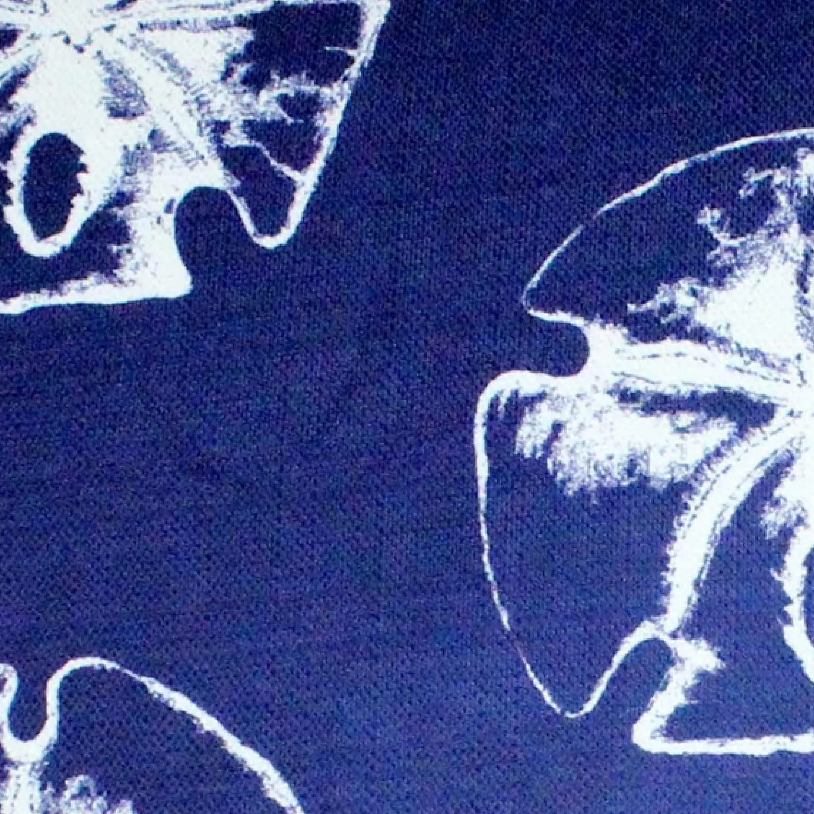 Hilton Head Sand Dollar Large Pattern Pillow 20x20