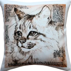 Maine Coon 17x17 Cat Pillow