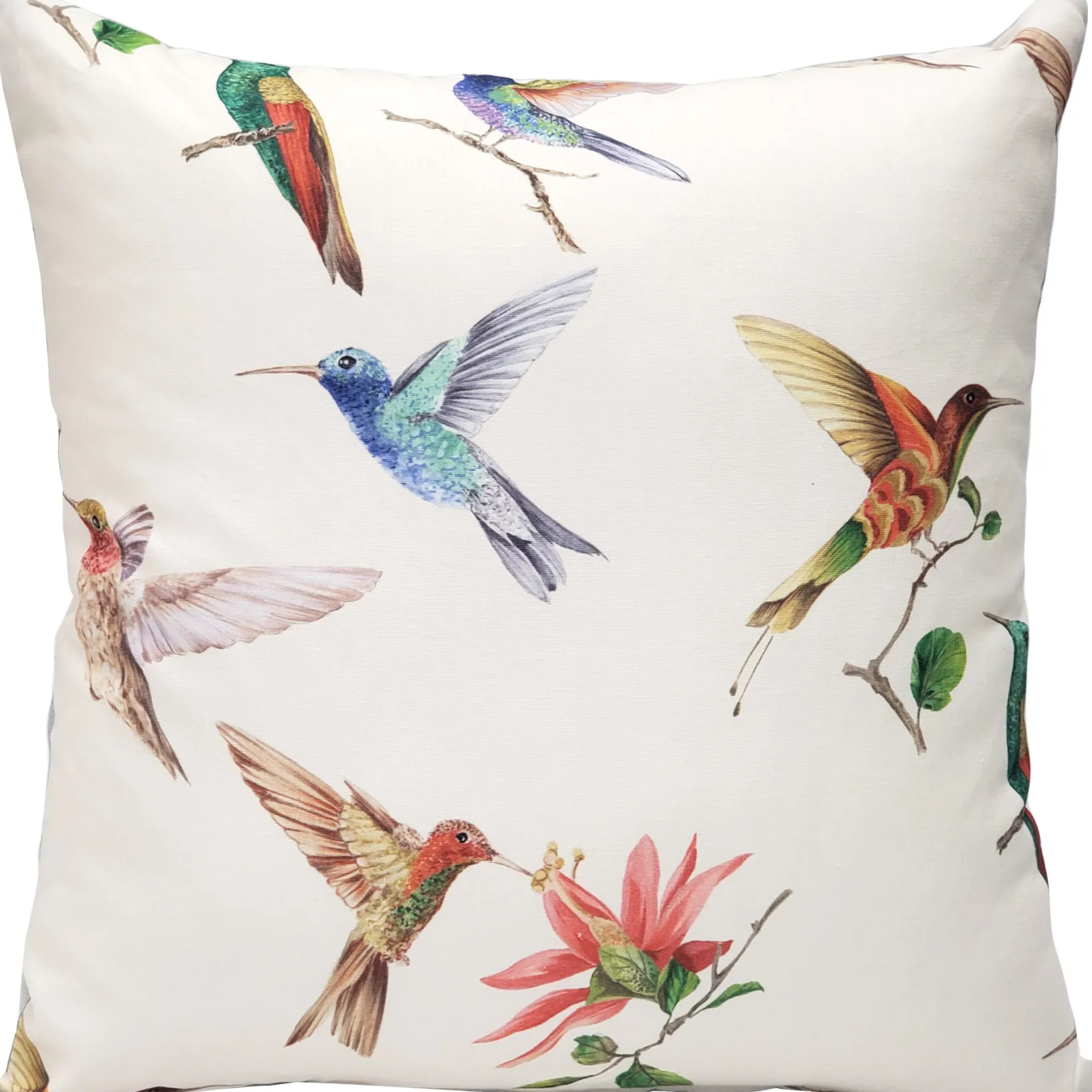 Monteverde Hummingbird Throw Pillow 21x21
