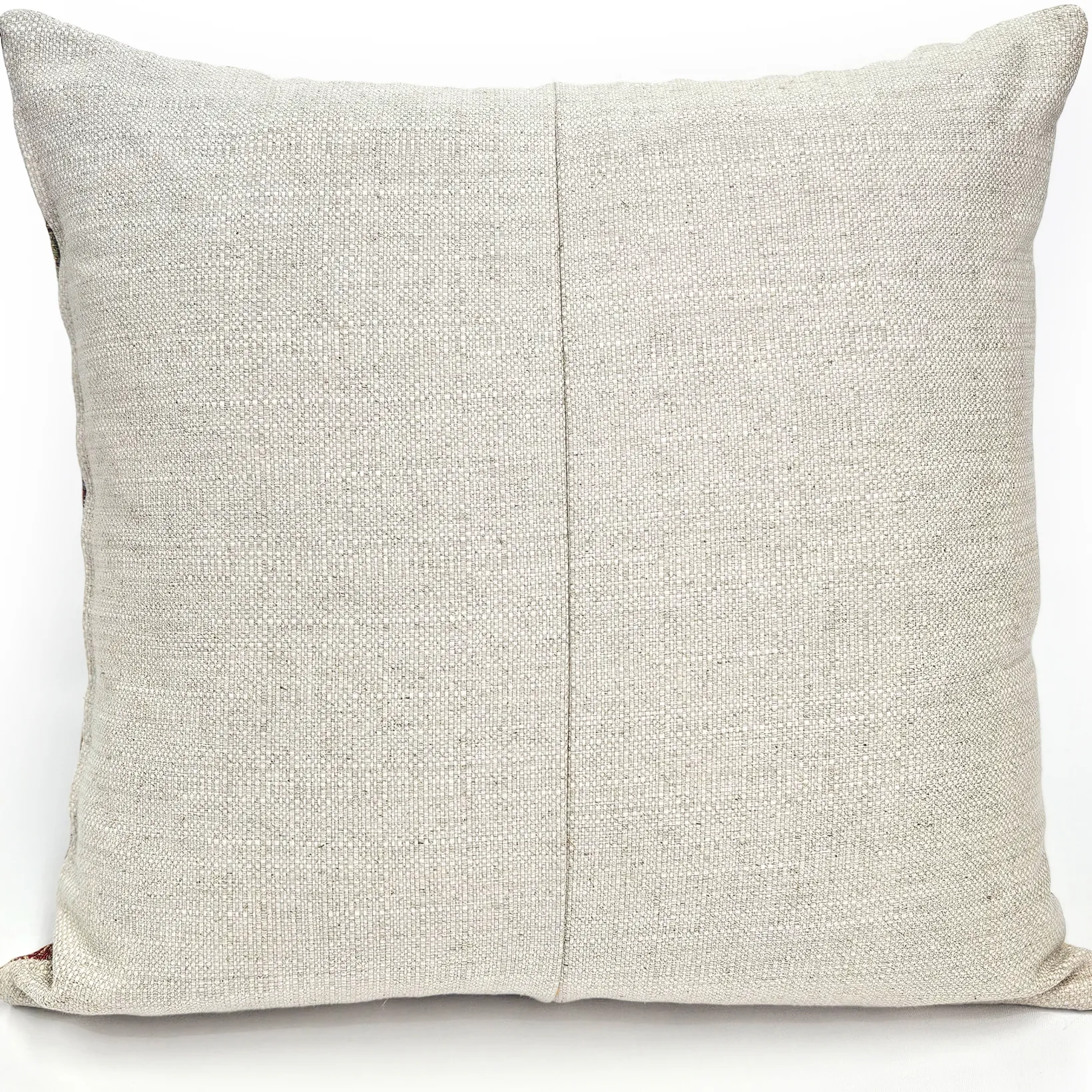 Poso Ikat Jacquard Throw Pillow 20x20