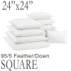 24" Square Feather Down Pillow Form