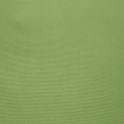 Sunbrella Ginko Green Outdoor Pillow 12x19