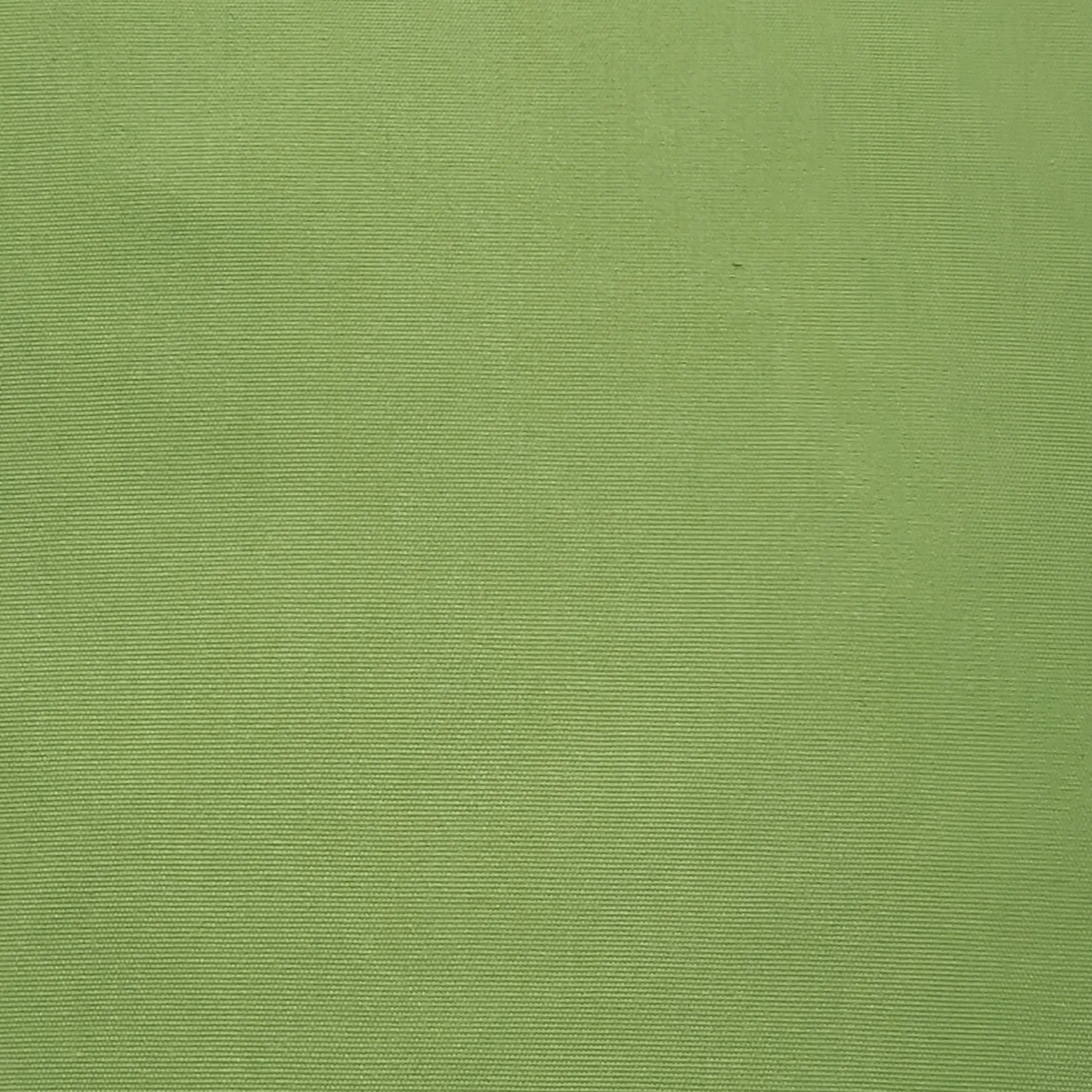 Sunbrella Ginko Green Outdoor Pillow 12x19
