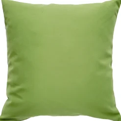 Sunbrella Ginko Green Outdoor Pillow 20x20