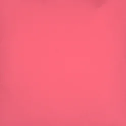 Sunbrella Hot Pink 20x20 Outdoor Pillow