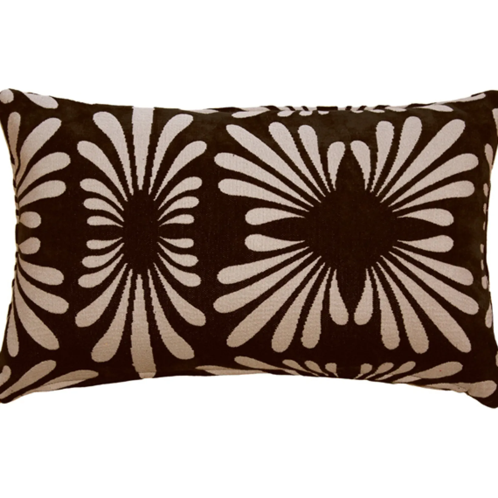 Velvet Daisy Black 12x20 Throw Pillow