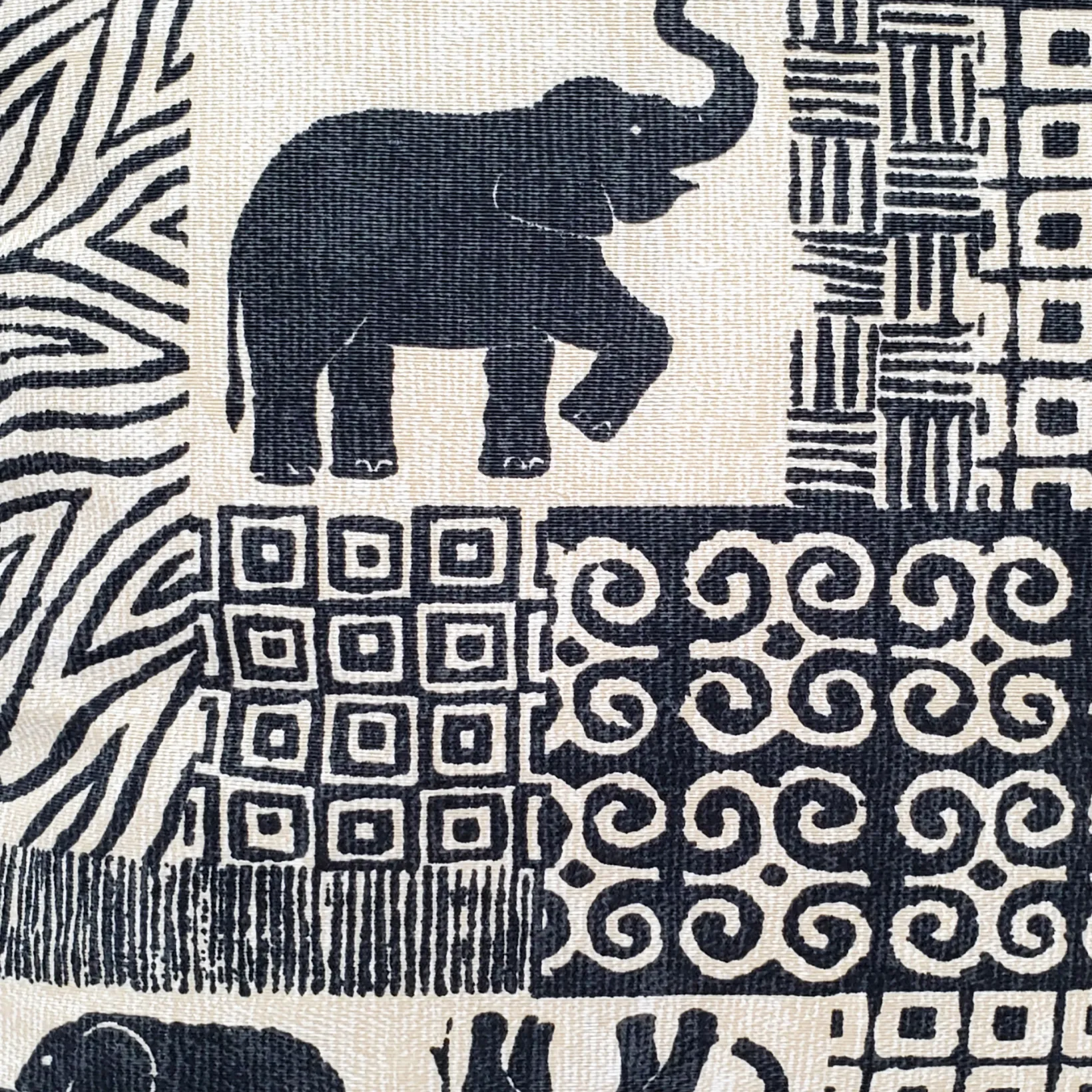 Zakouma Elephant Throw Pillow 20x20